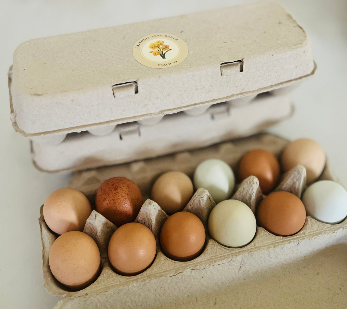 Eggs